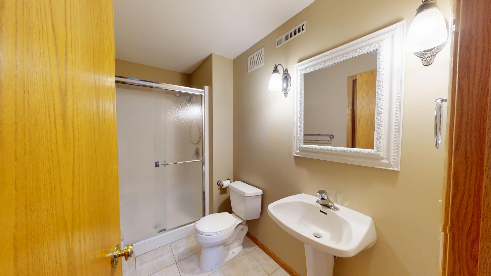 Lower Level Bathroom