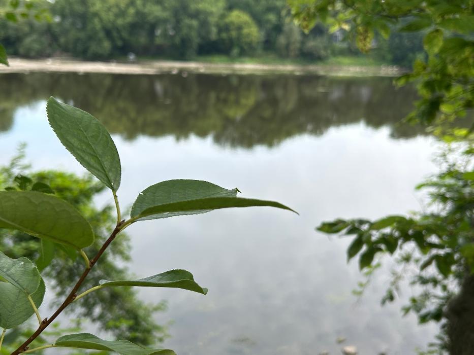 RIVER VIEW OFF DECK.jpg