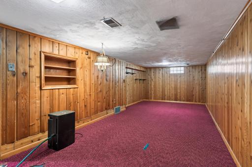 Basement Living Room.jpg