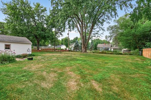 Large Backyard.jpg