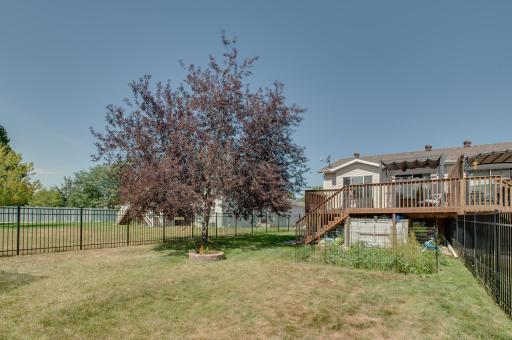 Beautiful treed yard