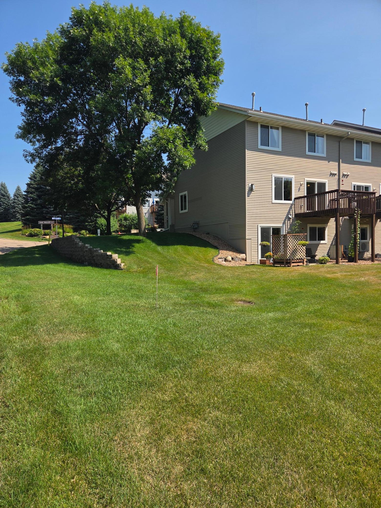 back yard