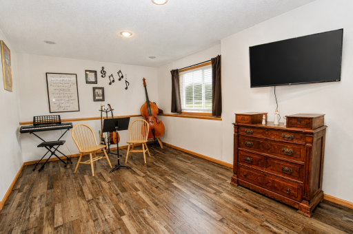 Lower Level Family Room