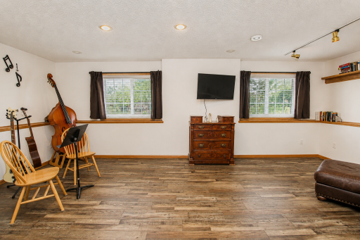 Lower Level Family Room