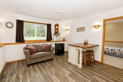 Lower Level Rec Room