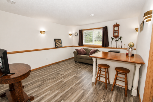 Lower Level Rec Room