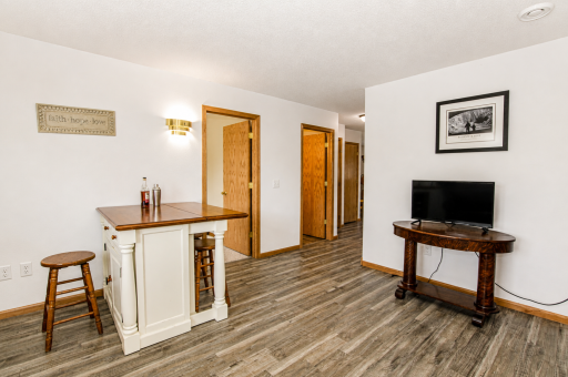 Lower Level Rec Room