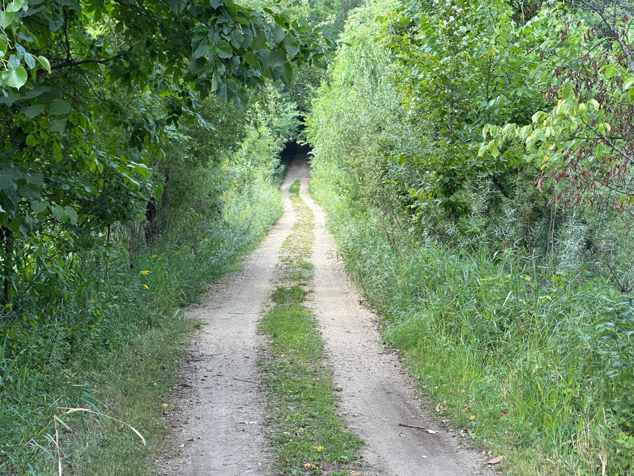 Path from access