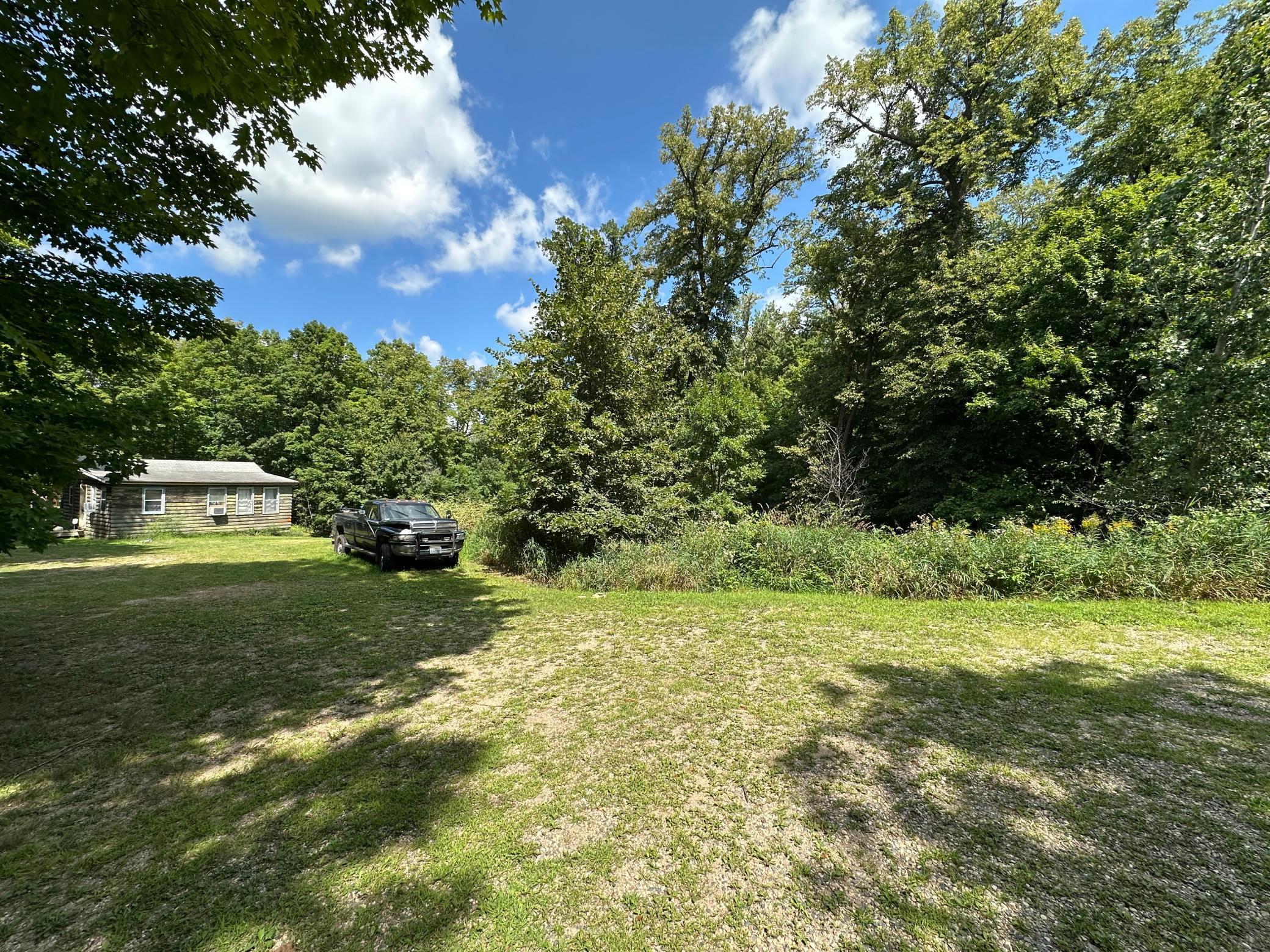 Yard/trees