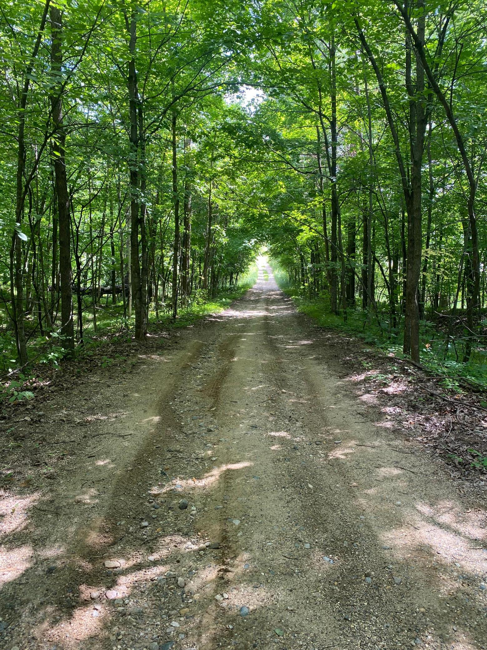 Path to Lake Lobster access