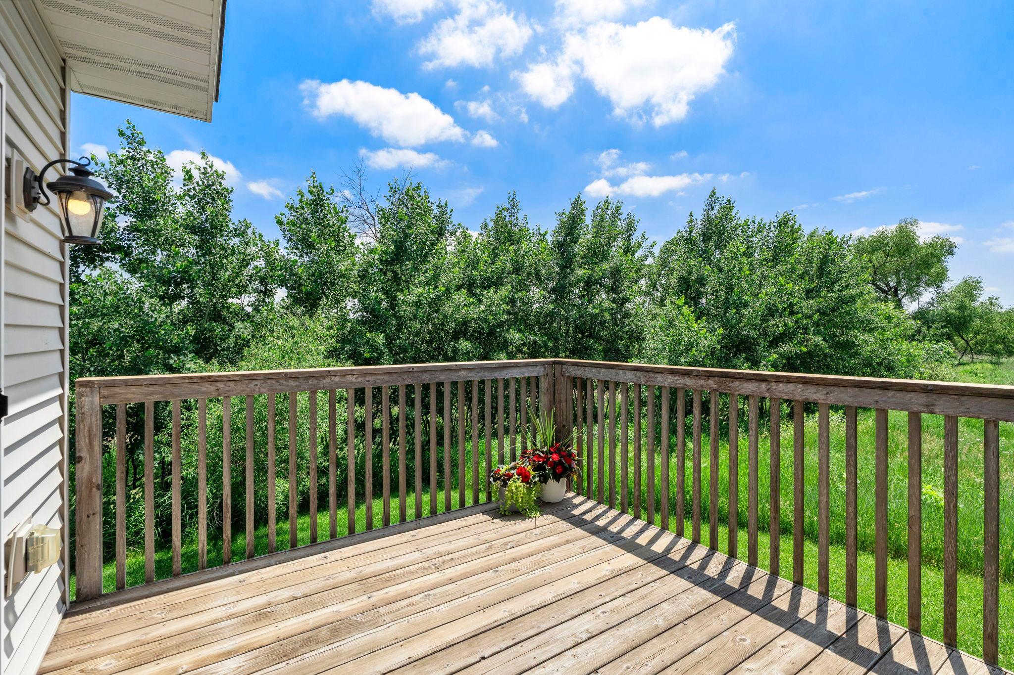 Deck overlooks wetlands