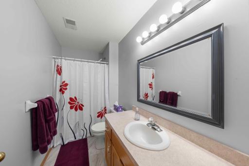 Lower level bathroom.jpg
