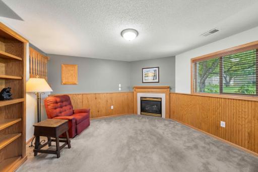 Lower level family room.jpg
