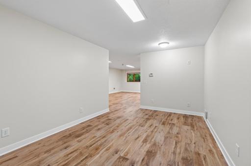 Lower level rec room