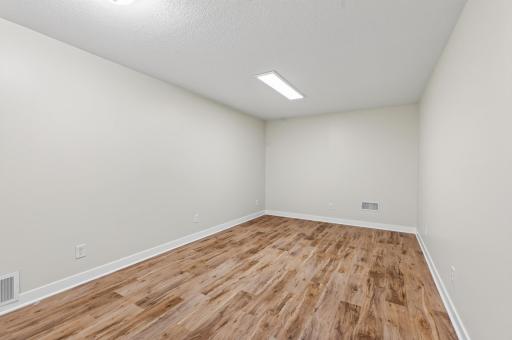 Lower level rec room