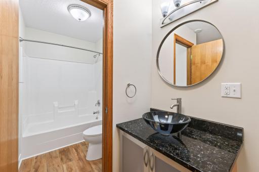 Lower level full bathroom