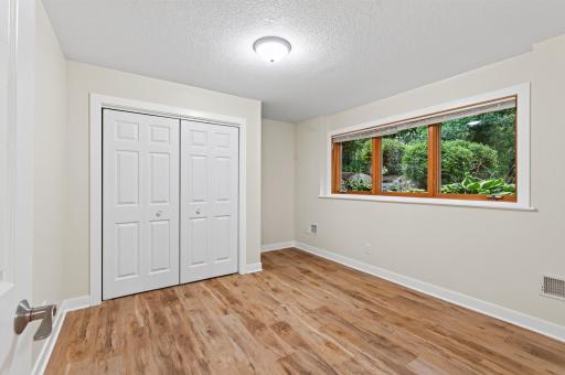Lower level 4th bedroom