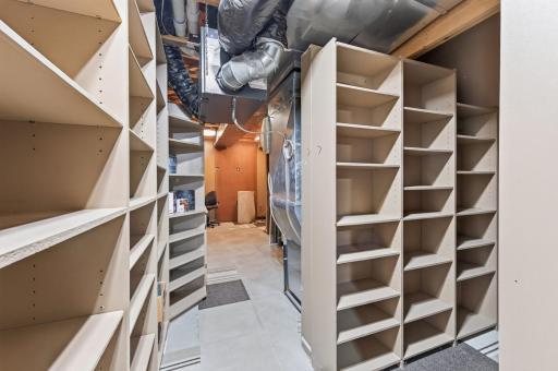 Lower level storage and utility area