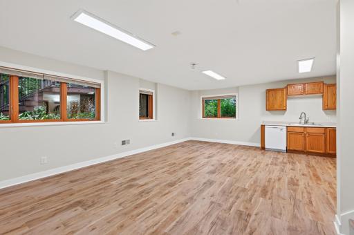 Lower level living room/dining area