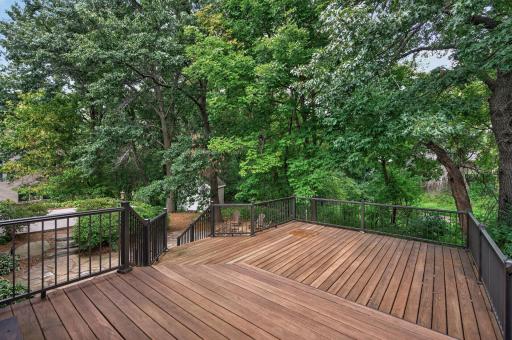 Back yard and deck