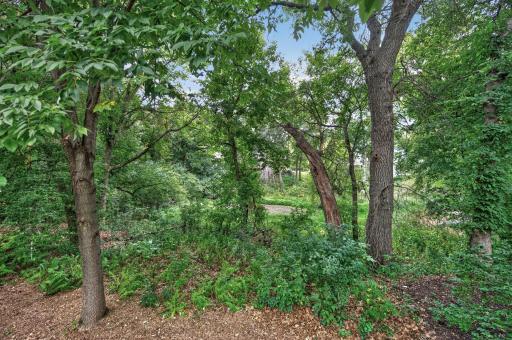 Private back yard view