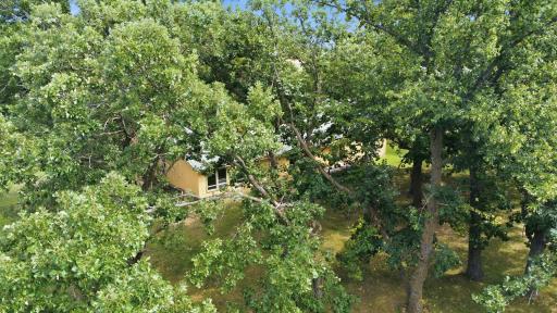 5368 County Road 23 SE, Alexandria, MN 56308
