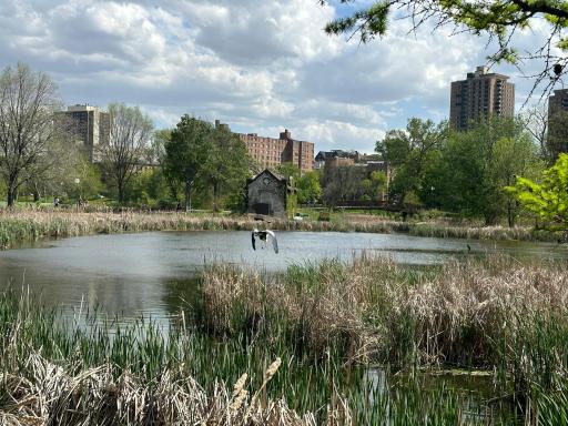 Loring Park offers beautiful scenery, walking paths, and a peaceful outdoor retreat nearby.