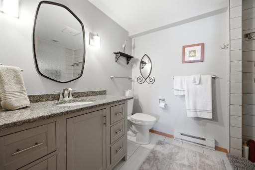 Lower Level Bathroom 5