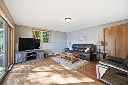 Lower Level Family Room
