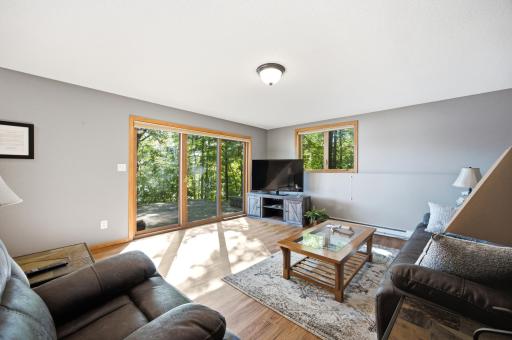 Lower Level Family Room