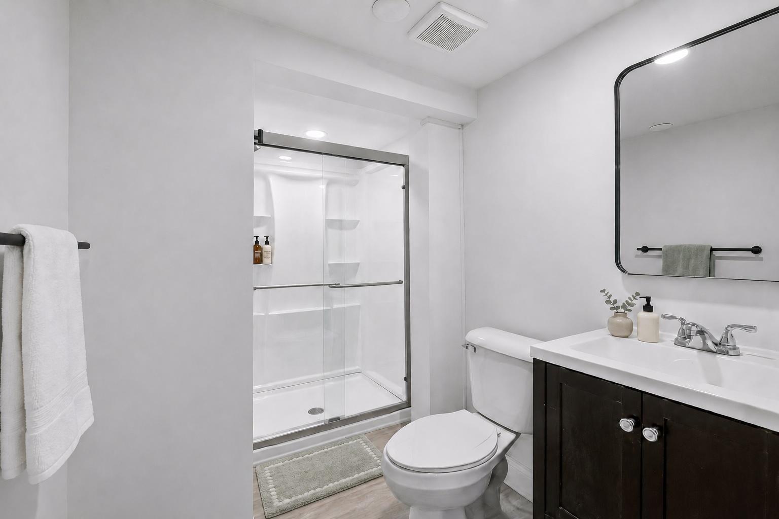 Lower Level Bathroom