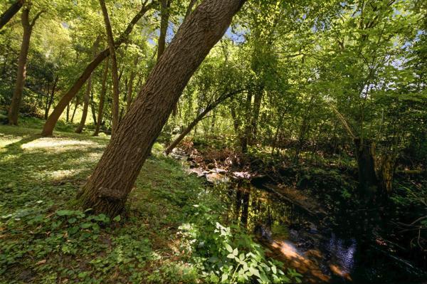 Photo 48