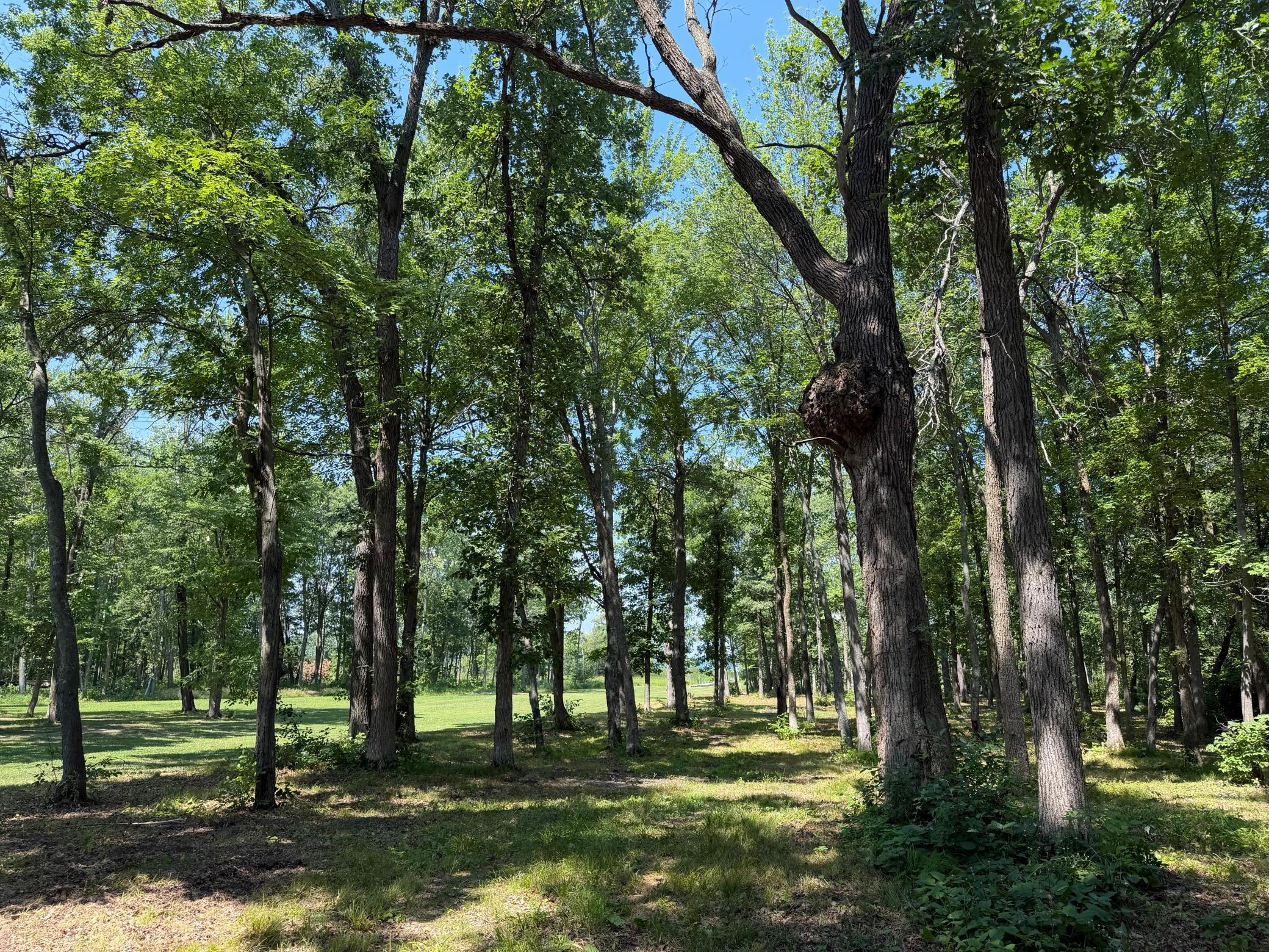 TBD Fork Ln, Merrifield, MN 56465