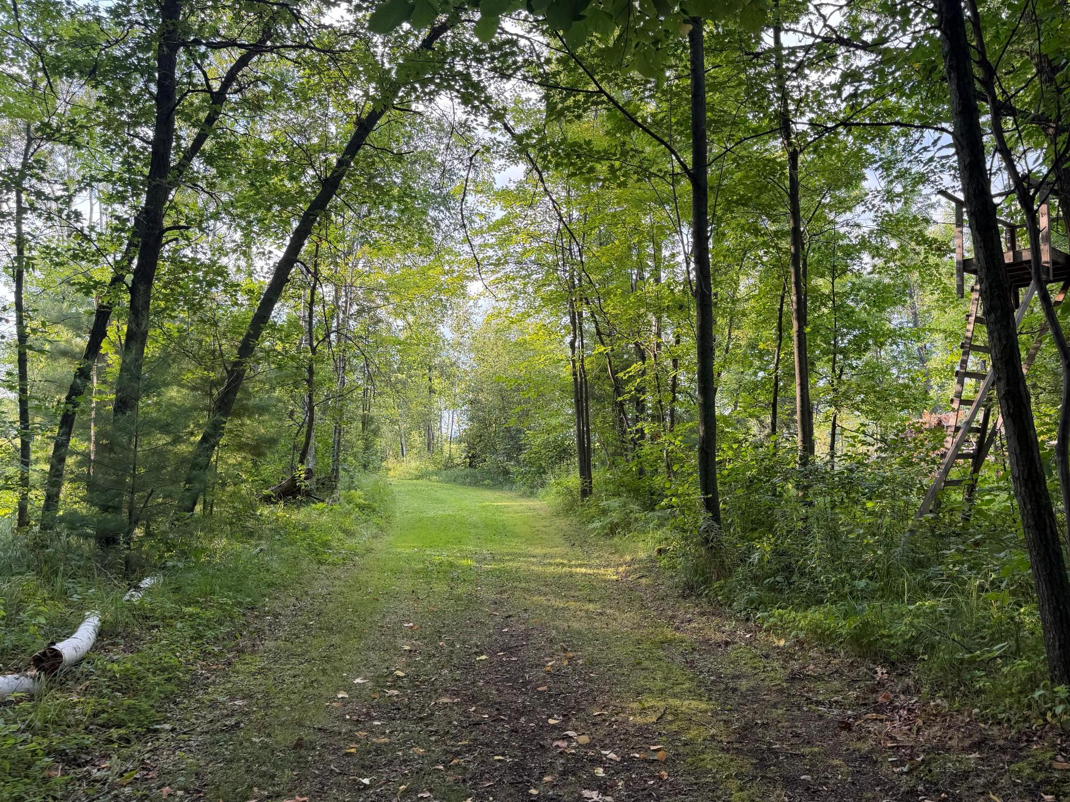 TBD Fork Ln, Merrifield, MN 56465