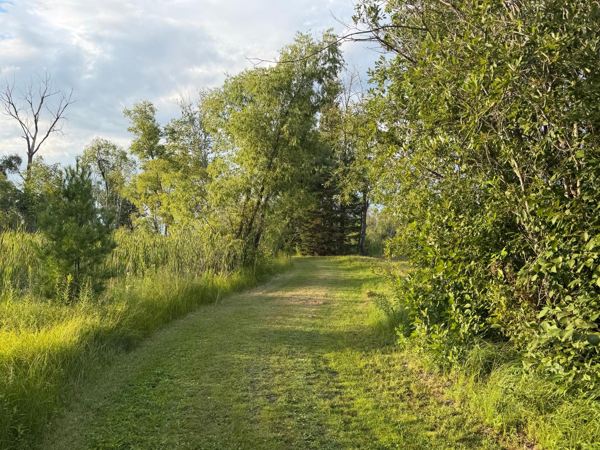TBD Fork Ln, Merrifield, MN 56465