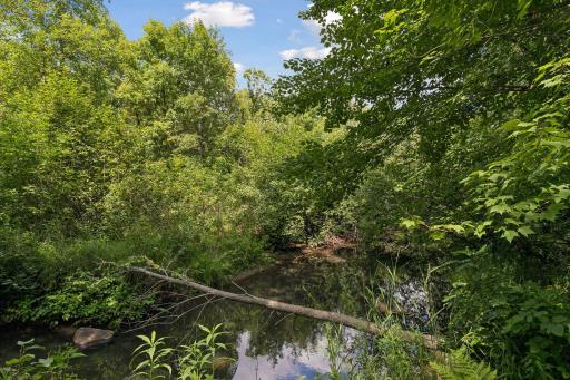Little Sand Creek in the Backyard!