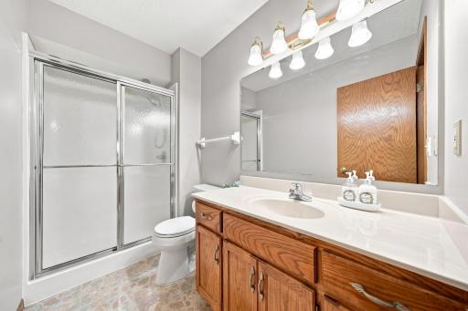 lower level bathroom