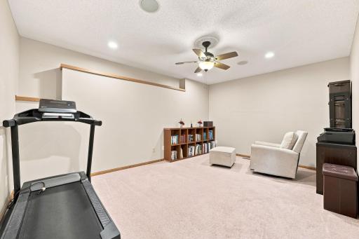 Extra flex room for office or excercise room