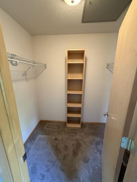Walk in closet with organizers