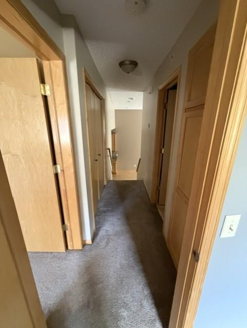 Hall way to main level