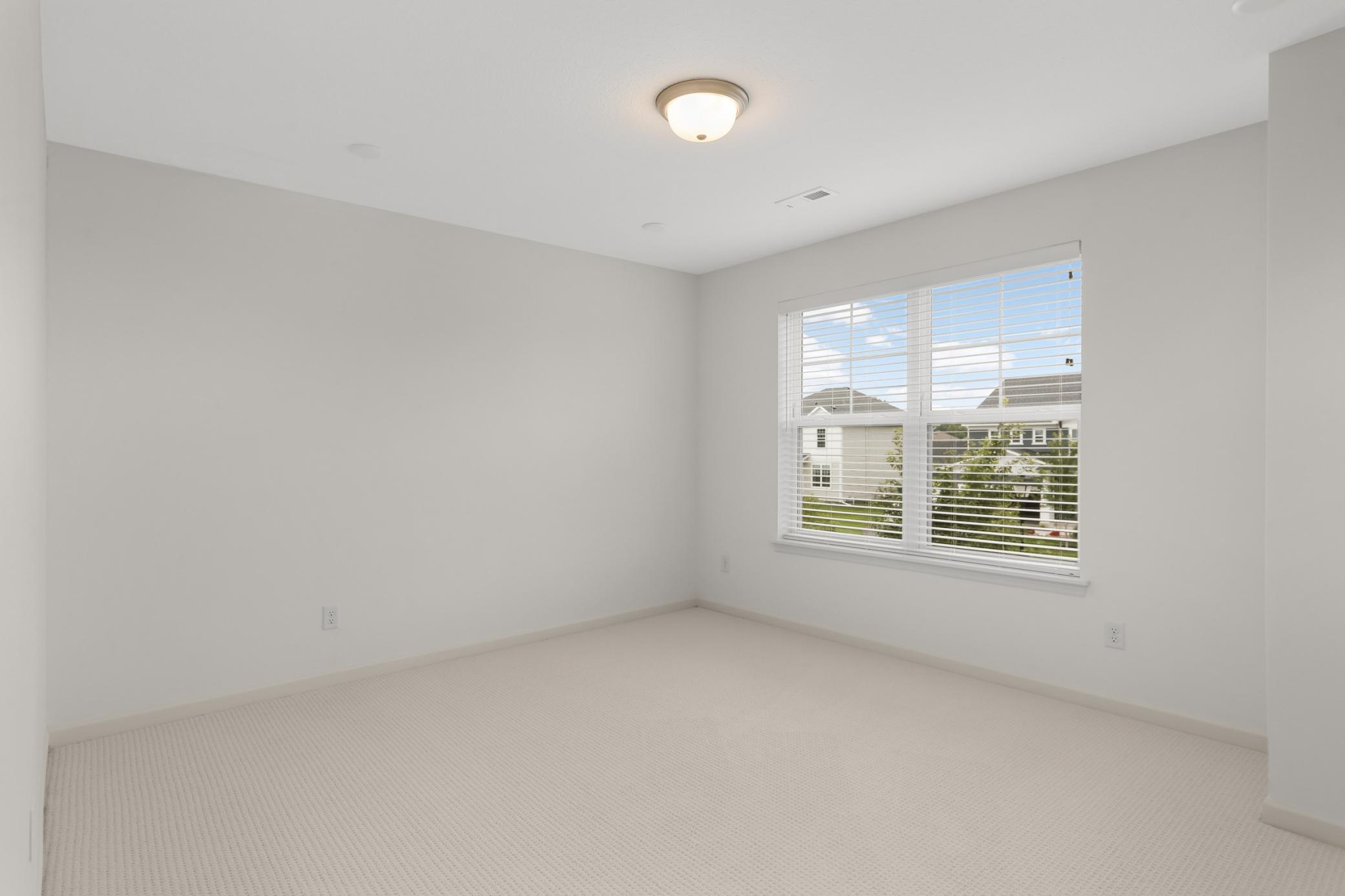Image-37.jpg