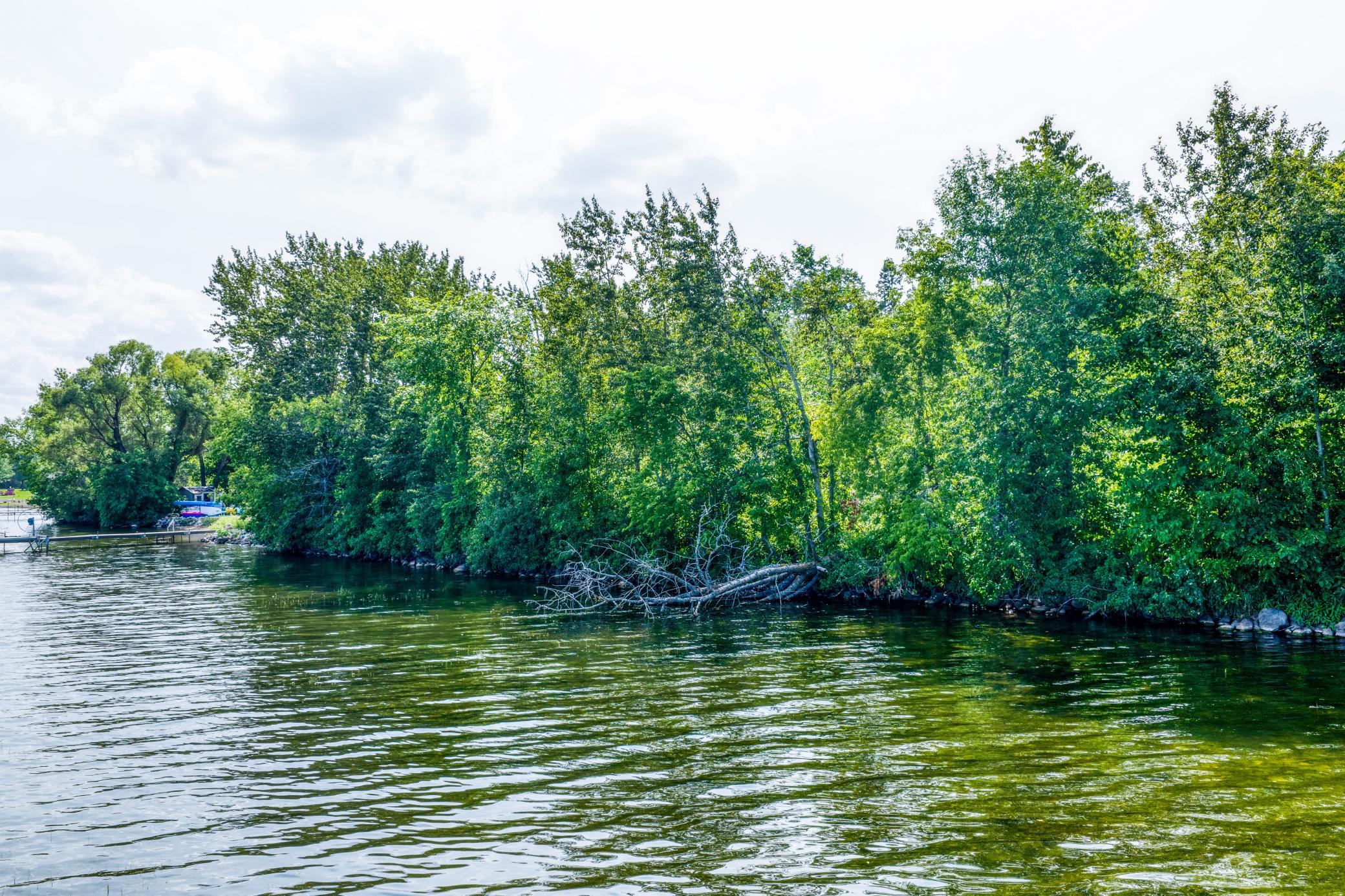 Lake Bemidji Shoreline 2.jpg