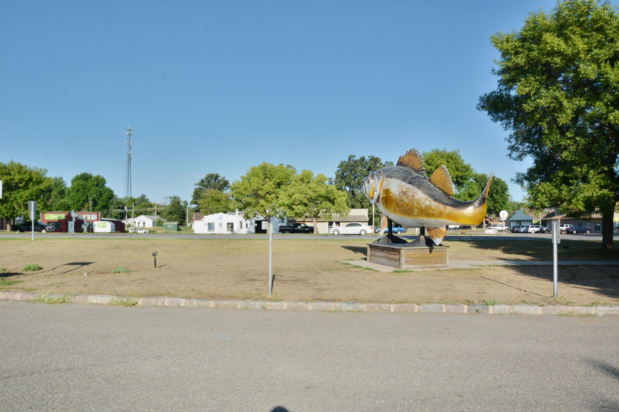 DSC_9246 - Copy.JPG
