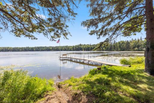 Shoreline and Dock