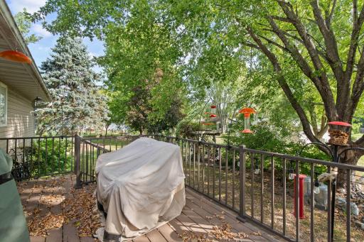 28-web-or-mls-110 Pine Circle Somerset-20.jpg