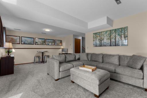 Lower-Level Family Room – Additional View