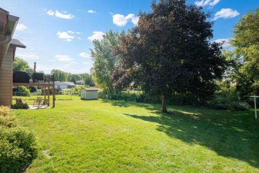 Spacious Backyard