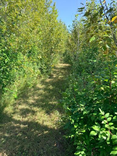 39726 350th Avenue SE, Fosston, MN 56542