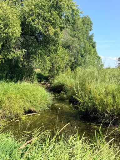 39726 350th Avenue SE, Fosston, MN 56542