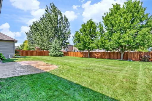 Backyard1_1-1280.jpg